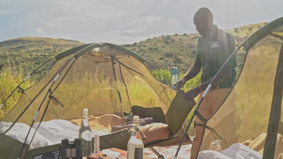 A fly camp set up in sunlit grassland