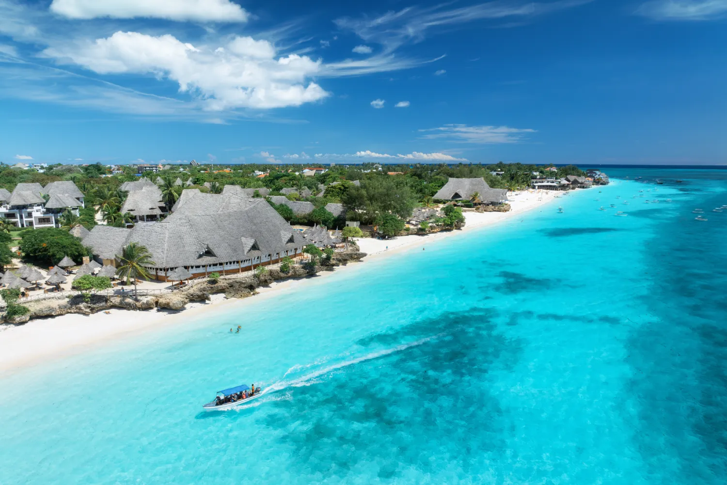 An Indian Ocean beach and dhow off Zanzibar