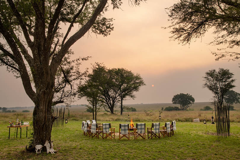 Unforgettable Wilderness Safari in Tanzania: Tailored Journeys Into the Wild