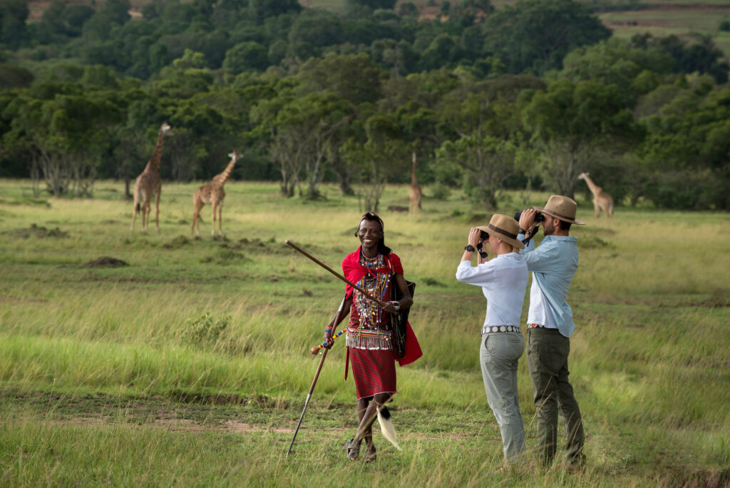 The Ultimate Luxury Kenya & Tanzania Safari Guide: Curate Your Bespoke African Odyssey