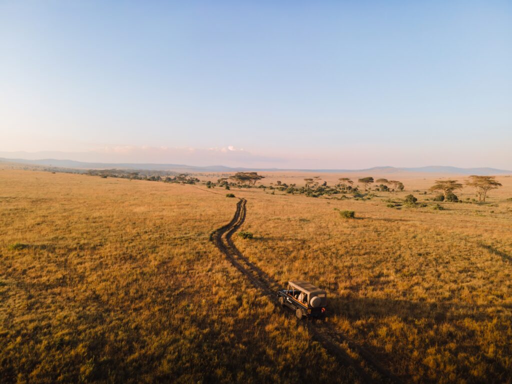 Luxury tented safari camp at dawn overlooking East African savannah with acacia trees and soft golden light