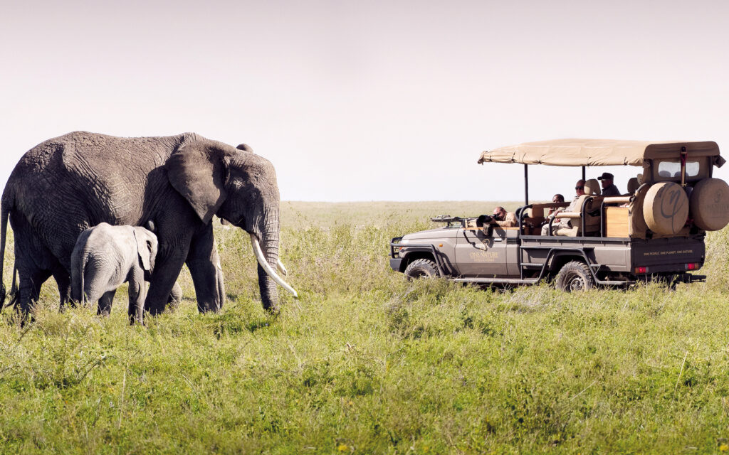 Green Season Safari in East Africa: The Luxury of Slower Travel