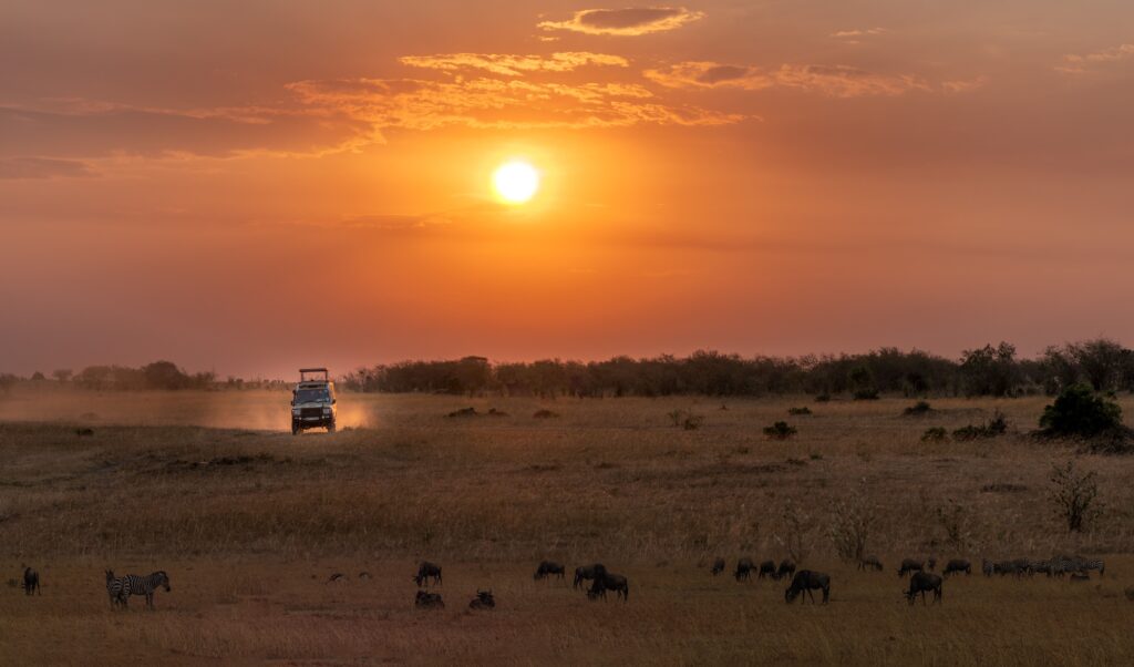 10 Questions Before a Luxury Kenya and Tanzania Safari