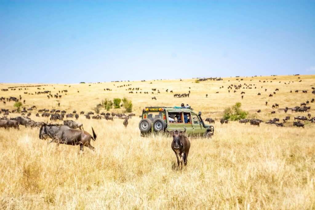 7 Ways to Experience a Private July Safari in Kenya and Tanzania