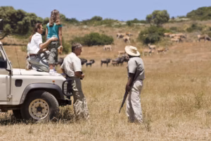 Family safari